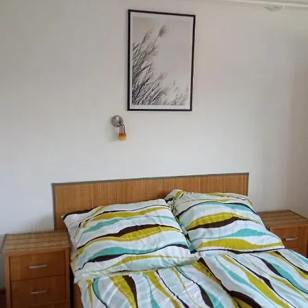 Sifra 276 *
