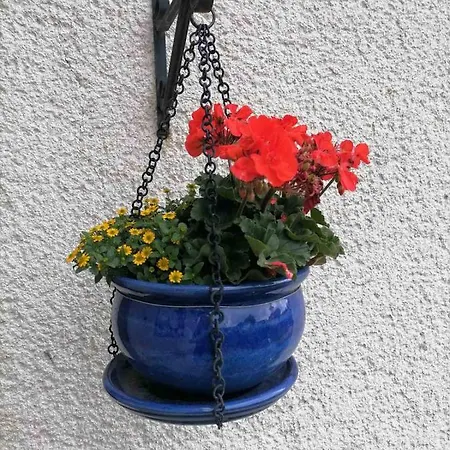 Sifra 276 Affittacamere 3*